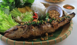 Cá quả - món ngon, thuốc quý