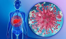 Virus viêm gan B có khả năng lây nhiễm cao gấp 50-100 lần so với HIV