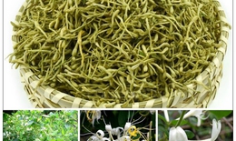 Dược thiện thanh nhiệt sinh tân