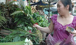 Những phương thức  hiệu quả của xông lá  trị cảm cúm