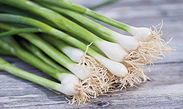 Hành- gia vị có nhiều công dụng trị bệnh