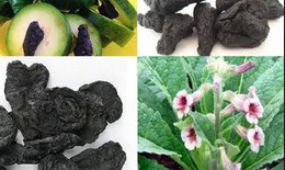 Rượu thuốc bổ khí huyết tuổi trung niên 