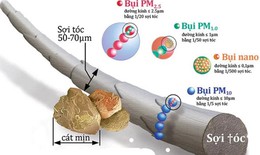 Vì sao bụi mịn PM2.5 nguy hiểm đến tim mạch? 