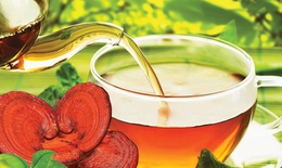 Nấm linh chi - thuốc bổ khí dưỡng âm, bổ tâm an thần 