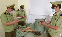 Thu giữ gần 400kg dược liệu nhập lậu