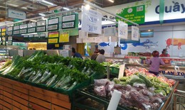 Kiểm soát, giám sát thị trường hàng hóa TP.Hồ Chí Minh và các tỉnh phía Nam