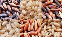 Gạo lứt kiện tỳ vị, dưỡng huyết