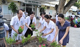 BV Bạch Mai triển khai “X&#226;y dựng bệnh viện Xanh - Sạch - Đẹp”