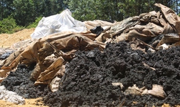 Formosa chôn hơn 390 tấn chất thải có xyanua nguy hại vượt ngưỡng ở Kỳ Anh