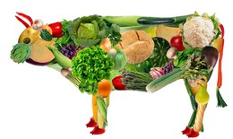 Ngộ nhận về ăn chay và các vấn đề bất cập của thịt