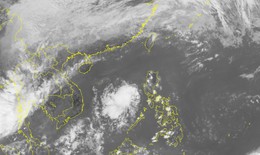 Áp thấp nhiệt đới giật cấp 8 xuất hiện trên Biển Đông