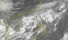 Xuất hiện áp thấp nhiệt đới trên Biển Đông, có khả năng mạnh thêm