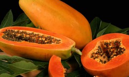 Tác dụng chữa bệnh của đu đủ