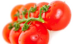 Cà chua làm giảm nguy cơ ung thư da ở nam giới