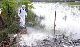 Ổ dịch cúm A/H5N1 tại Bạc Liêu: Tiêu trùng khử độc, xử lý triệt để tránh lây sang người