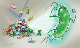 Vi khuẩn HP gây bệnh dạ dày đã kháng với nhiều loại kháng sinh