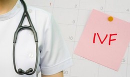 Trẻ được thụ tinh bằng phương pháp IVF có nguy cơ cao hơn bị bệnh tim
