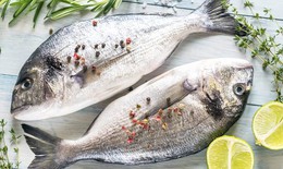 Omega-3 từ c&#225; hiệu quả hơn trong ph&#242;ng chống ung thư