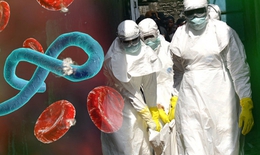 Dịch bệnh Ebola c&#243; xu hướng gia tăng, diễn biến phức tạp