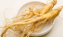 Nhân sâm đại bổ, nhưng cũng hại lớn