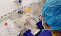 Bảo quản tinh trùng từ người đã chết ở Ngân hàng mô đầu tiên của Việt Nam