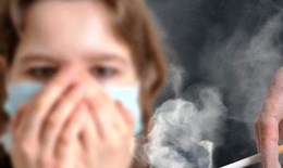 600.000 người chết mỗi năm chỉ v&#236; h&#237;t phải thứ chất độc n&#224;y v&#224;o người