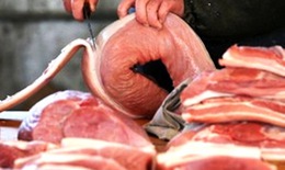 Cách phòng ngừa bệnh sán lợn ở người