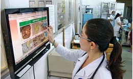 WHO khuyến cáo sử dụng công nghệ kỹ thuật số trong cung ứng các dịch vụ y tế