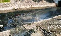 Hôm nay, Hà Nội làm sạch sông Tô Lịch, kỳ vọng 3 ngày sau sẽ không còn mùi hôi