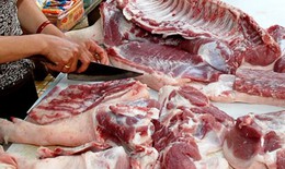 Không tái nuôi lợn khi đang có dịch tả lợn Châu Phi; người dân đừng “quay lưng” với thịt lợn