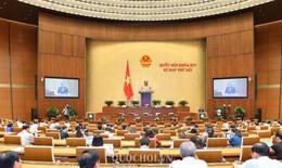 Tuần này, Quốc hội thảo luận những vấn đề "nóng" gì?