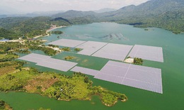 Đóng điện Nhà máy Điện mặt trời nổi hồ Đa Mi, bổ sung nguồn điện cho miền Nam nắng nóng