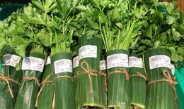 Báo động mỗi ngày Hà Nội phát sinh đến 6.000 tấn rác thải