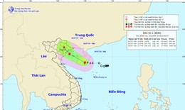 Bão số 2 giật cấp 10 hướng vào các tỉnh Quảng Ninh đến Nam Định, nhiều nơi mưa to, sạt lở đất
