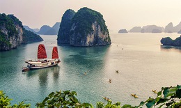 Quay lén khách du lịch đang tắm, tàu du lịch ở vịnh Hạ Long bị đình chỉ hoạt động