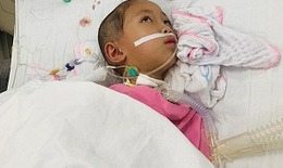 Cứu bé gái bị viêm não Nhật Bản gồng mình chiến đấu với bệnh tật