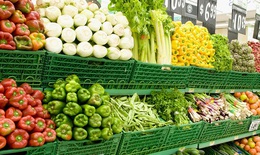 Hà Nội phát triển 135 chuỗi cung cấp rau thịt an toàn