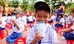 Bộ Y tế nói gì về việc "chậm trễ ban hành quy chuẩn sản phẩm sữa tươi học đường"?
