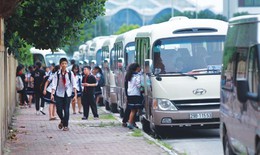 Bộ GDĐT: Hiệu trưởng chịu trách nhiệm về toàn bộ hoạt động đưa đón học sinh của trường