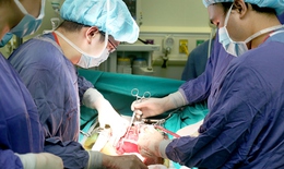 Kỷ lục: 15 ca ghép tạng chỉ trong 1 tuần