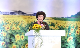 Việt Nam xuất khẩu lô sữa chính ngạch đầu tiên sang thị trường Trung Quốc