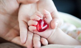 Hơn 10.000 trẻ mắc tim bẩm sinh mỗi năm, nhu cầu điều trị rất lớn