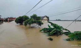 18 người thiệt mạng thương t&#226;m do mưa lũ ở miền Trung