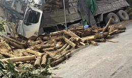 Xe đi thu hoạch cây tràm gặp tai nạn thảm khốc 7 người chết