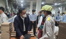 Toàn bộ mẫu xét nghiệm ở 2 công ty từng là ổ dịch lớn nhất Hải Dương đều âm tính