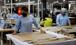 Thủ tướng: Chấn chỉnh việc áp dụng biện pháp phòng dịch cứng nhắc, ảnh hưởng sản xuất kinh doanh