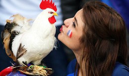 Euro ngoại truyện: Rực rỡ sắc màu cổ động viên