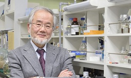 Nobel y học 2016 vinh danh nhà khoa học Nhật Bản Yoshinori Ohsumi