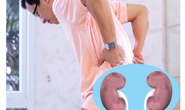 Bài thuốc Bổ Thận Dương bí truyền kỳ diệu: khắc tinh tiểu đêm, đau mỏi lưng gối, sinh lý yếu, hiếm muộn
