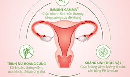 Nỗi khổ viêm phần phụ dai dẳng, biết bao giờ dứt?